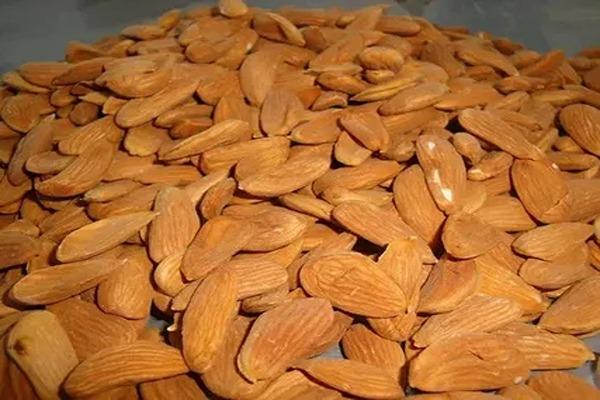 تصویر 3 از خرید و قیمت بادام مامایی صادراتی + فروش عمده